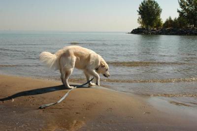 Oct7c_04_007.JPG