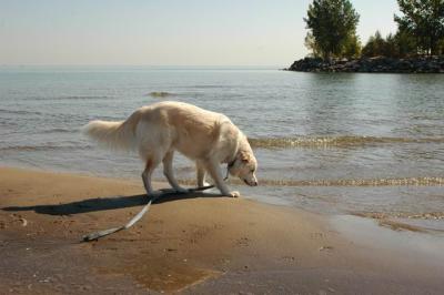 Oct7c_04_008.JPG