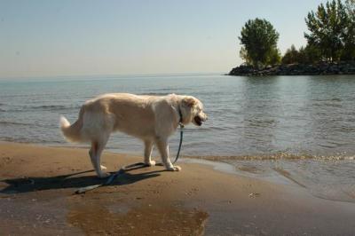 Oct7c_04_011.JPG