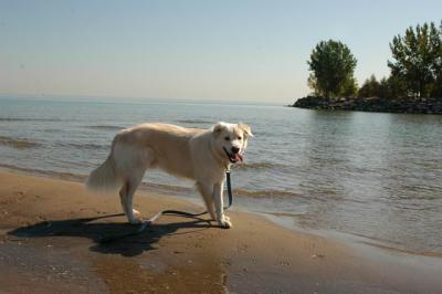 Oct7c_04_014.JPG