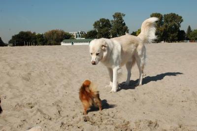 Oct7c_04_039.JPG