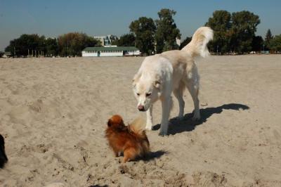 Oct7c_04_040.JPG