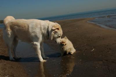 Oct7c_04_055.JPG