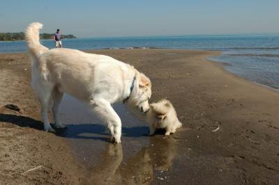 Oct7c_04_060.JPG