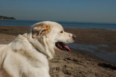 Oct7c_04_077.JPG