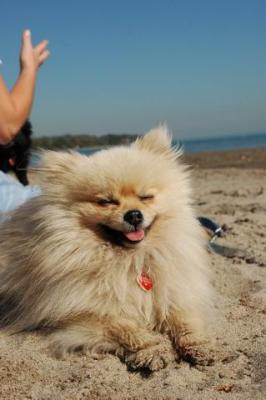 Oct7c_04_090.JPG