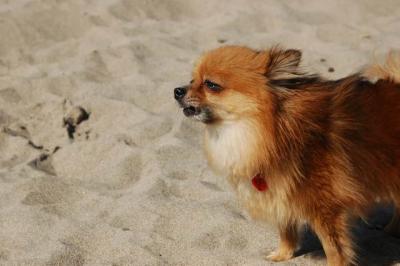 Oct7c_04_137.JPG