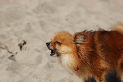 Oct7c_04_139.JPG