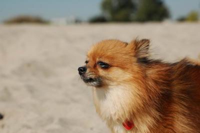 Oct7c_04_140.JPG