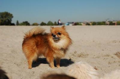 Oct7c_04_148.JPG