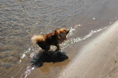 Oct7c_04_165.JPG