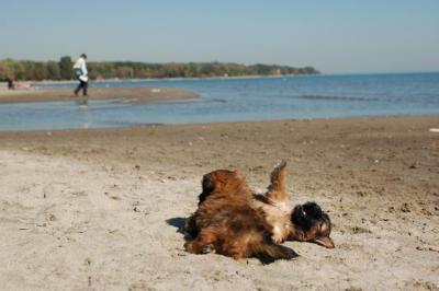 Oct7c_04_190.JPG