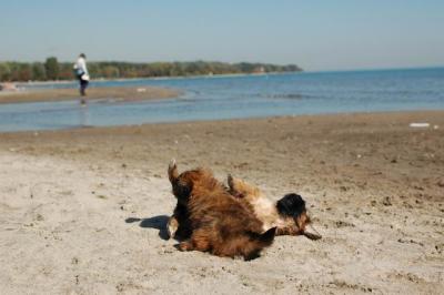 Oct7c_04_192.JPG