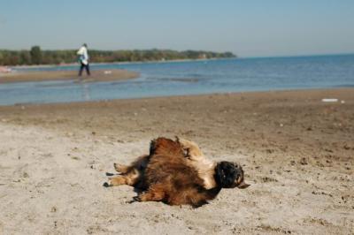 Oct7c_04_194.JPG