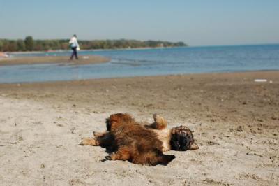 Oct7c_04_196.JPG