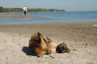 Oct7c_04_197.JPG