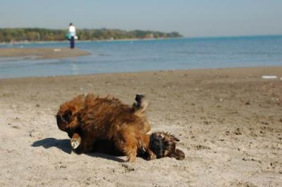 Oct7c_04_210.JPG