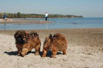 Oct7c_04_235.JPG