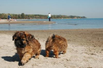 Oct7c_04_237.JPG