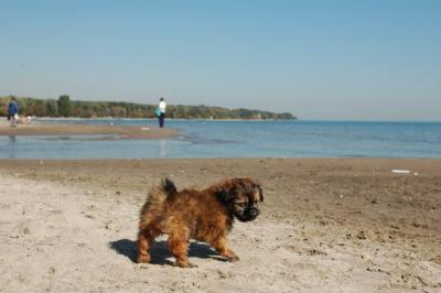 Oct7c_04_238.JPG