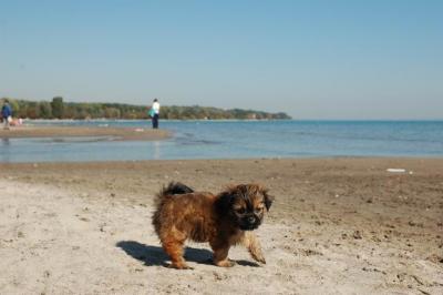 Oct7c_04_239.JPG