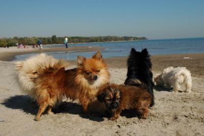 Oct7c_04_253.JPG