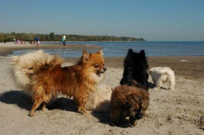 Oct7c_04_257.JPG