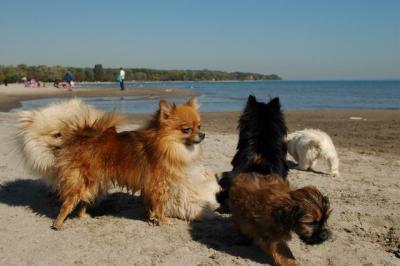 Oct7c_04_258.JPG