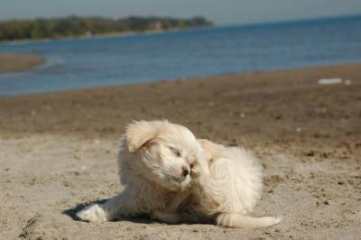 Oct7c_04_261.JPG