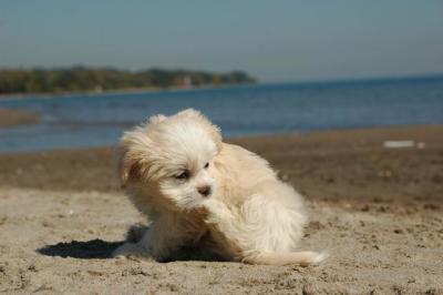 Oct7c_04_267.JPG