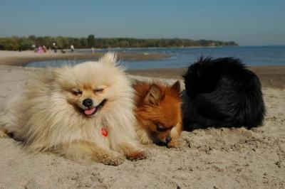 Oct7c_04_306.JPG