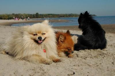Oct7c_04_308.JPG
