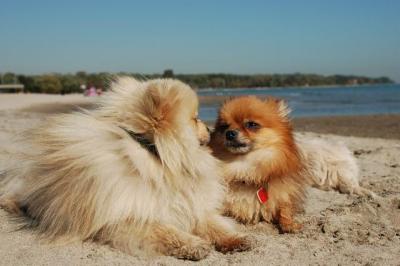 Oct7c_04_309.JPG