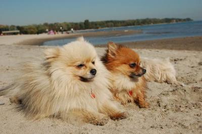 Oct7c_04_312.JPG