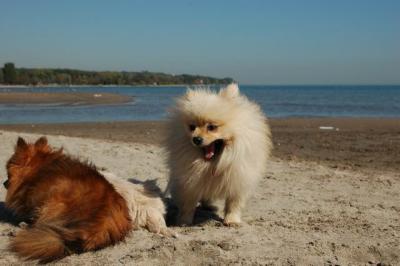 Oct7c_04_319.JPG