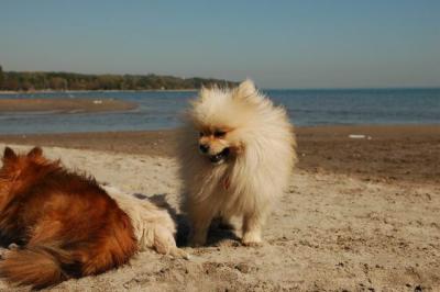 Oct7c_04_320.JPG