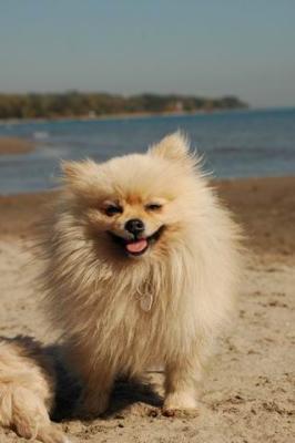 Oct7c_04_325.JPG