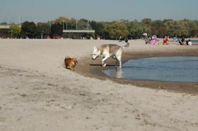 Oct7d_04_025.JPG