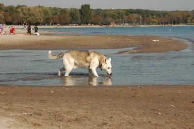 Oct7d_04_040.JPG