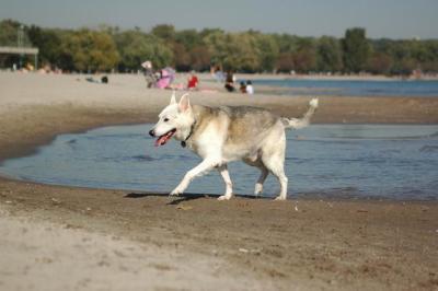 Oct7d_04_043.JPG