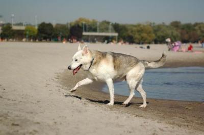 Oct7d_04_044.JPG