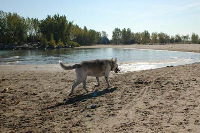 Oct7d_04_055.JPG