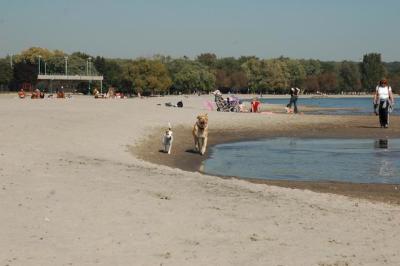 Oct7d_04_123.JPG