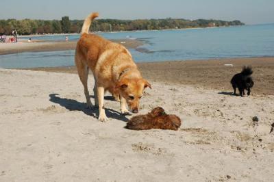 Oct7d_04_131.JPG