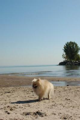 Oct7d_04_172.JPG