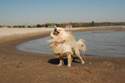 Oct7d_04_339.JPG