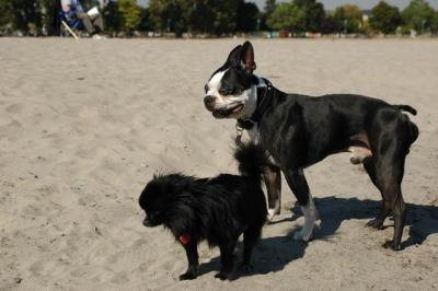 Oct7e_04_008.JPG