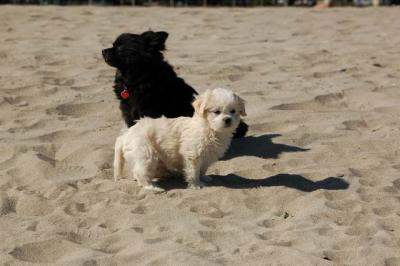 Oct7e_04_017.JPG