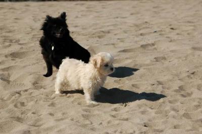 Oct7e_04_019.JPG