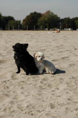 Oct7e_04_023.JPG